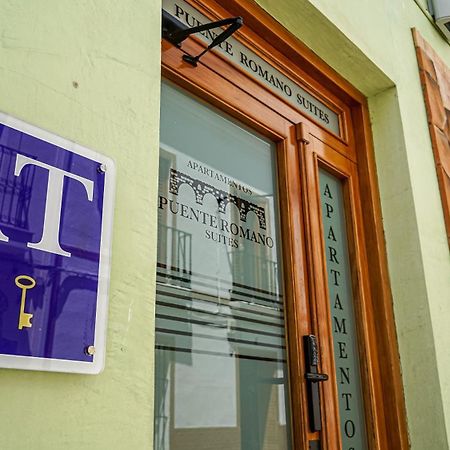 Apartamentos Puente Romano Suites Merida Bagian luar foto